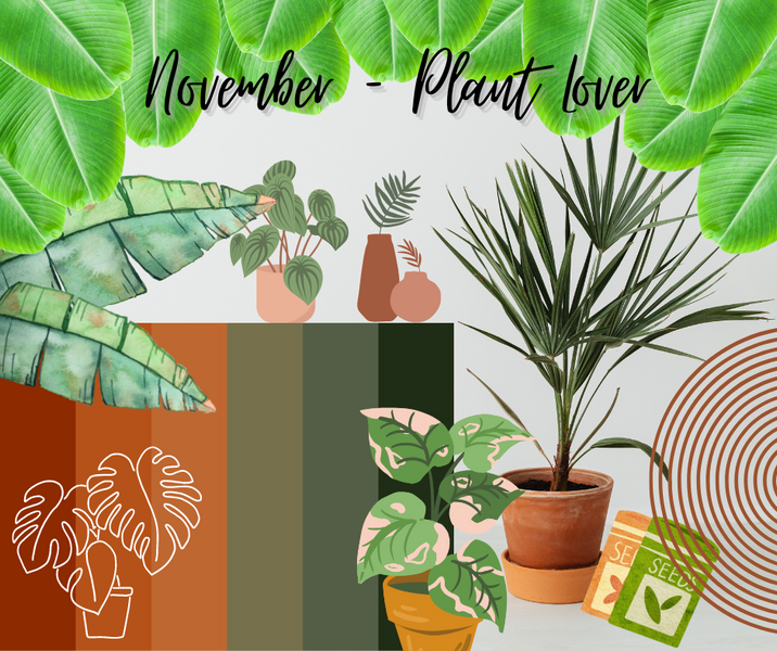 November Theme: Plant Lover