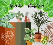 Load image into Gallery viewer, The Subscription Box