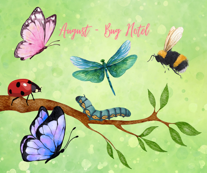 August Theme: Bug Hotel