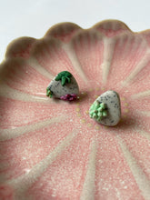 Load image into Gallery viewer, Succulent Pebble Studs
