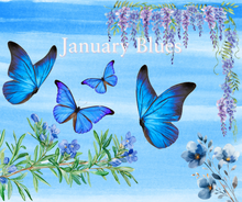 Load image into Gallery viewer, The Subscription Box
